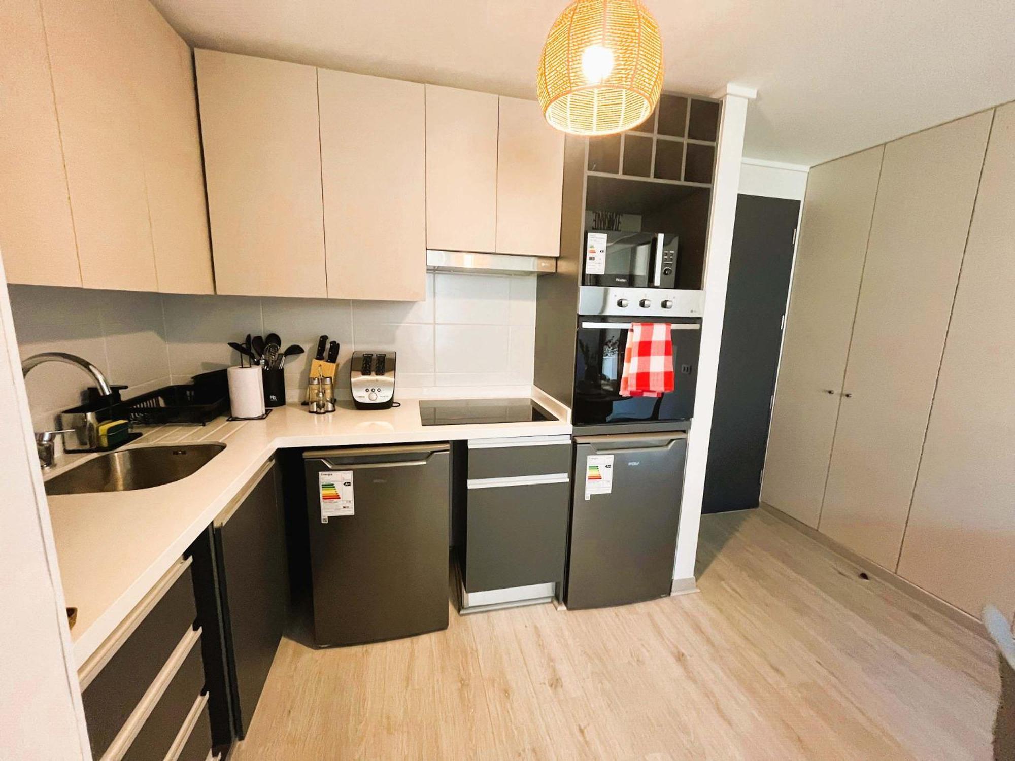 Hom I Centrico Y Nuevo Depto 2d2b 2pax Santiago